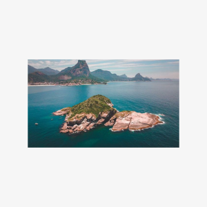 Boat Tour - Snorkeling with Turtles or Whale Watching Experience