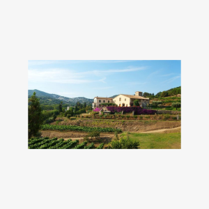 Boat tour to the vineyards with wine tasting from Barcelona (Fun for Four Package)